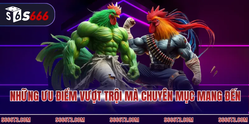 Những ưu điểm vượt trội mà chuyên mục mang đến